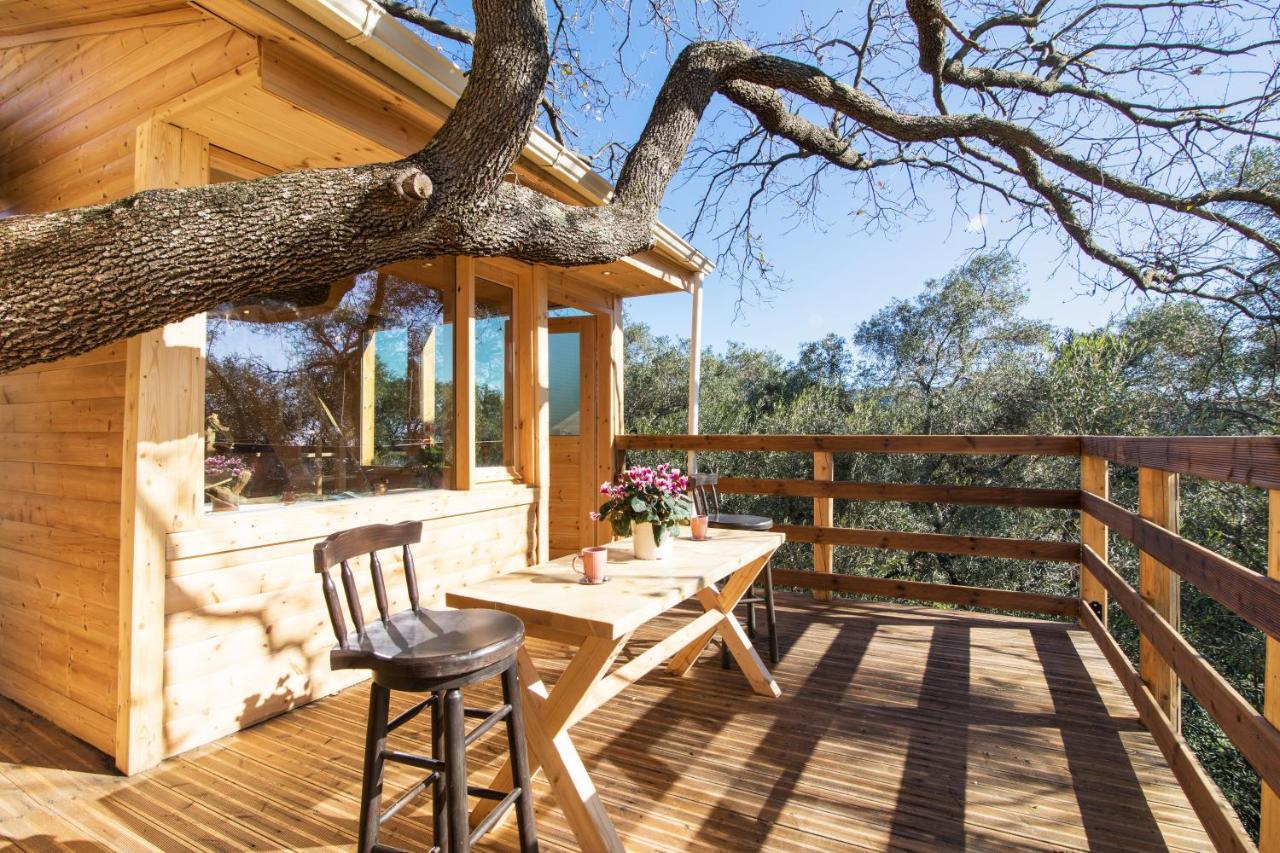 Romantic Tree House Kato Pavliana エクステリア 写真